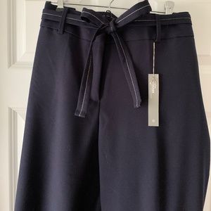 Ann Taylor LOFT Plus Size 18 Navy Trouser